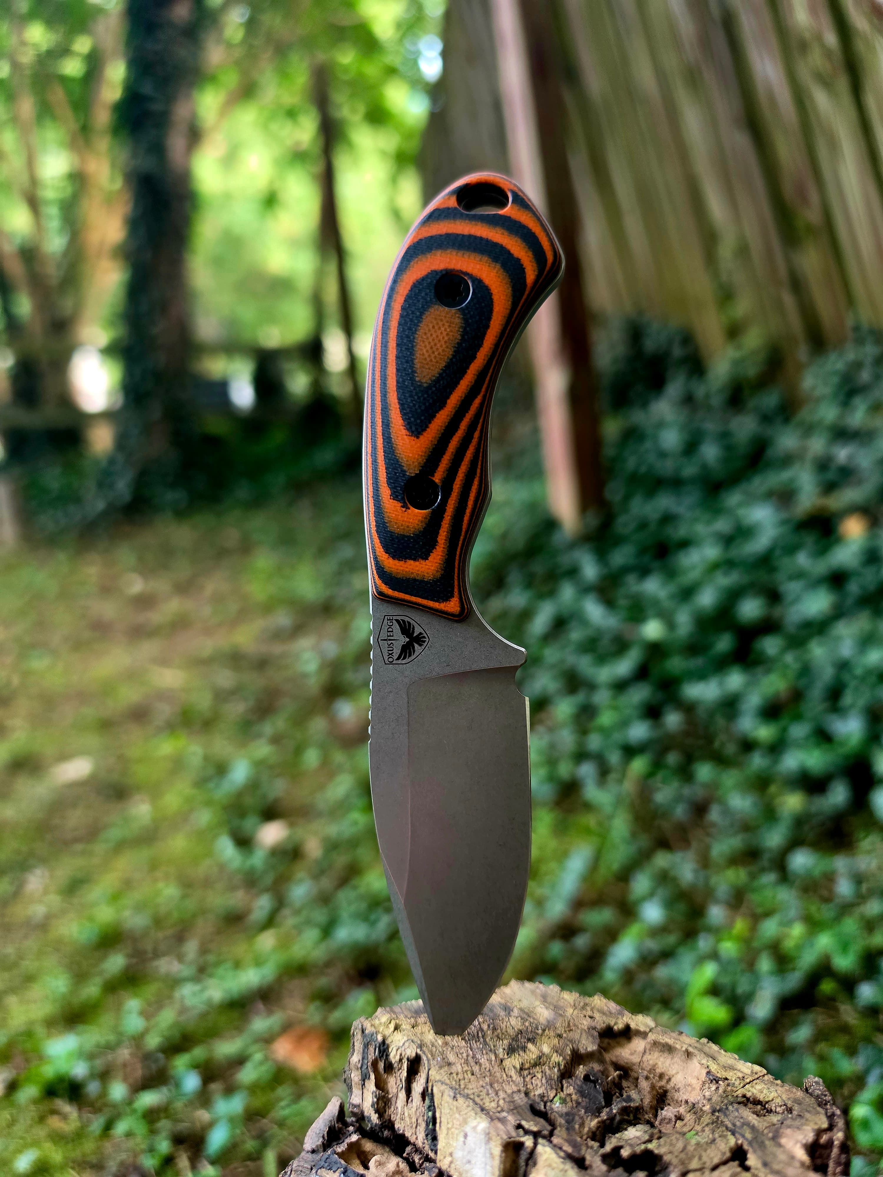 Wildcat - Orange and Black G10 · MagnaCut · EDC