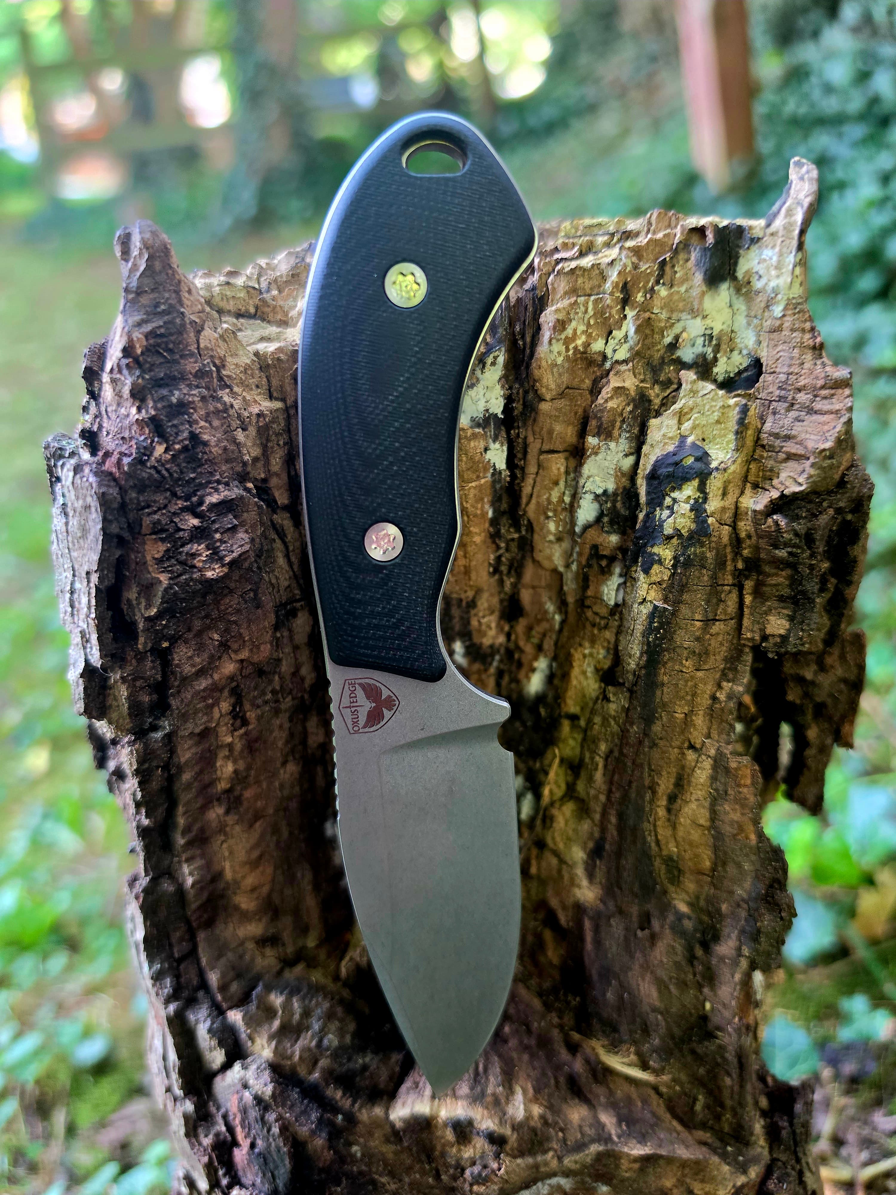 Wildcat - Black G10 · MagnaCut · EDC, view 3