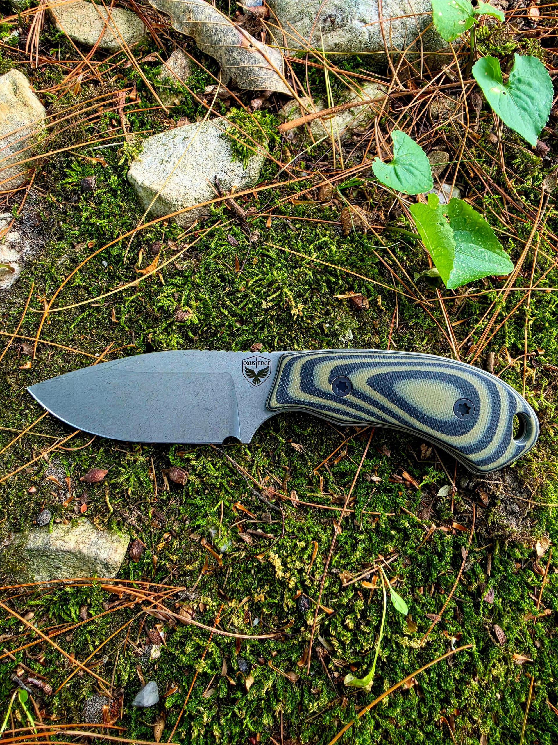 Wildcat — OD Green & Black, main view