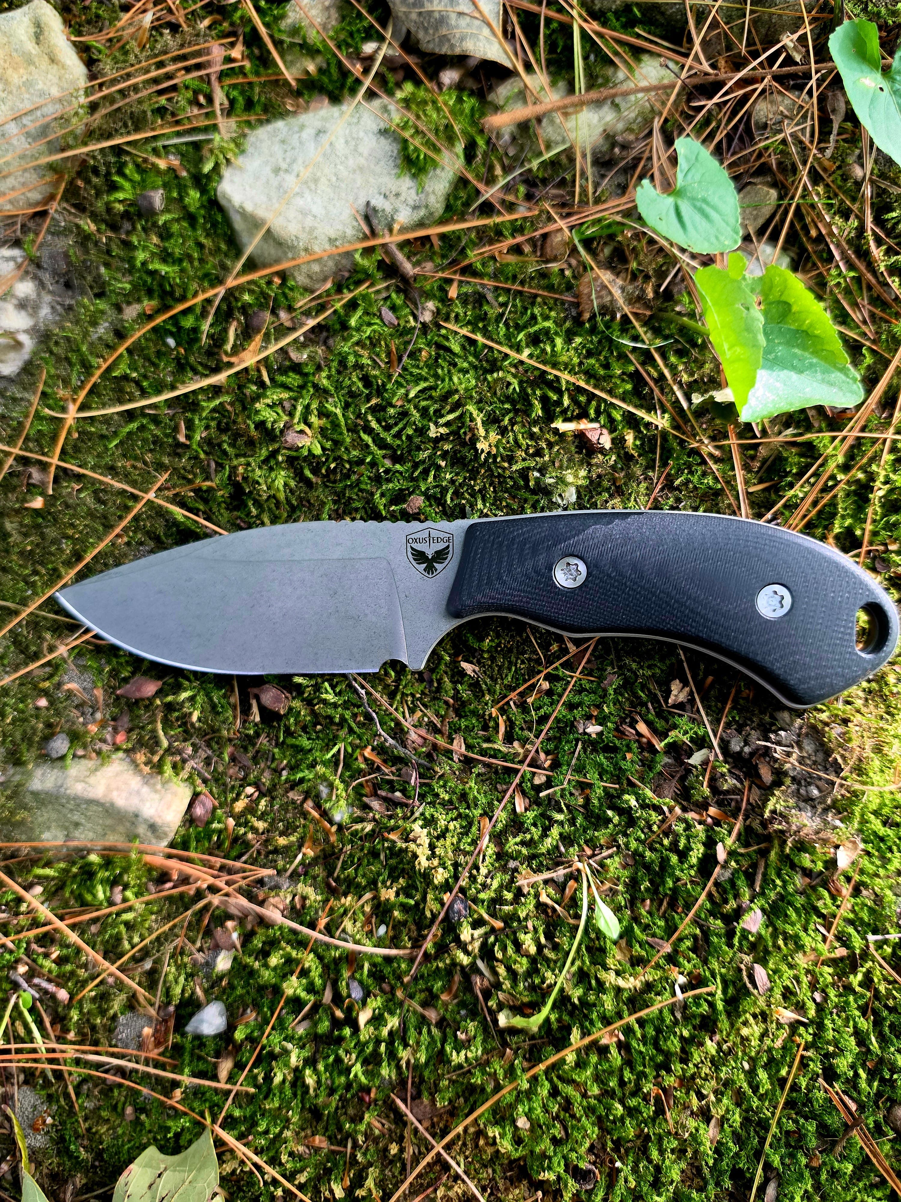 Wildcat - Black G10 · MagnaCut · EDC, main view